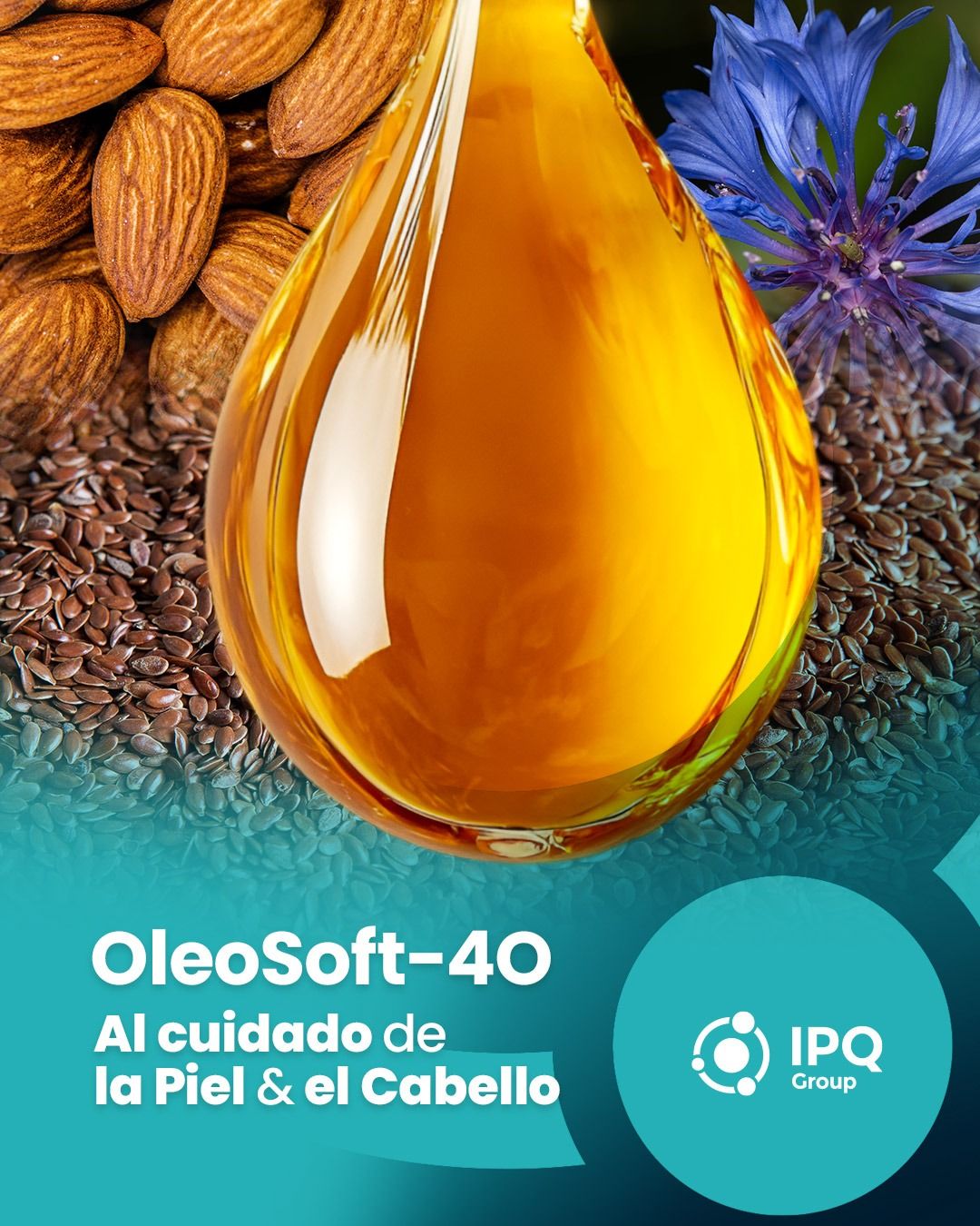 oleosoft40